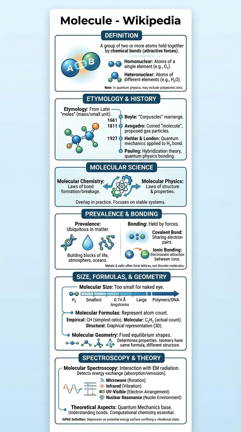 Chemistry Molecules Infographic - Organic chemistry visual study guide with molecular structures