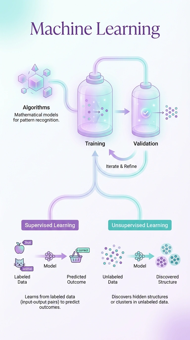 Machine Learning Infographic - Complete Visual Study Guide for Data Science